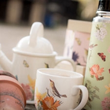 RHS wildlife printed mug, teapot and flask